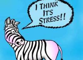 The Effects of Modern Day Stress and What You Can Do About It